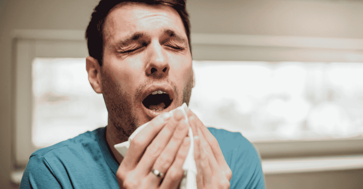 From Seasonal Sneezes to Serious Reactions: When to See an Allergy Specialist